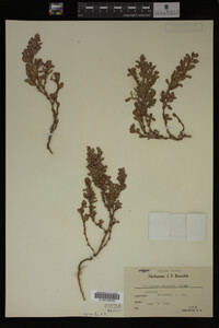 Image Associated With the Occurrence