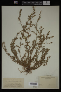 Image Associated With the Occurrence