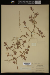 Image Associated With the Occurrence