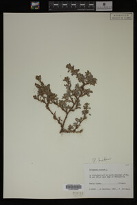 Image Associated With the Occurrence