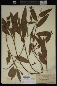 Image Associated With the Occurrence