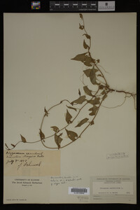 Image Associated With the Occurrence