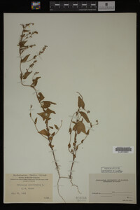 Image Associated With the Occurrence