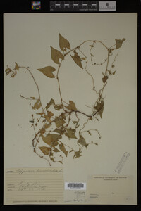 Image Associated With the Occurrence