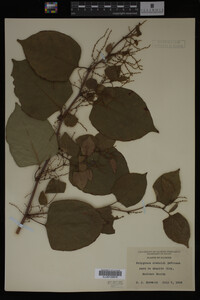Image Associated With the Occurrence
