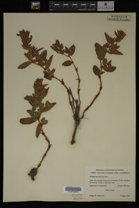 Image Associated With the Occurrence