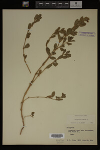 Image Associated With the Occurrence