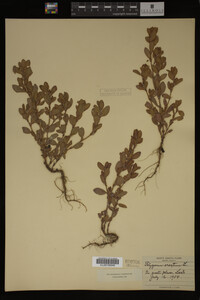 Image Associated With the Occurrence