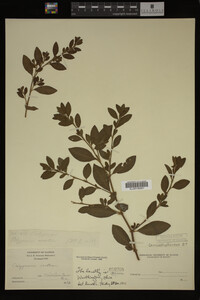 Image Associated With the Occurrence