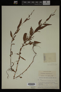 Image Associated With the Occurrence