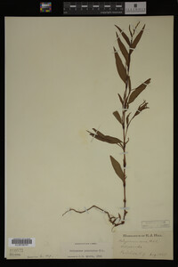 Image Associated With the Occurrence