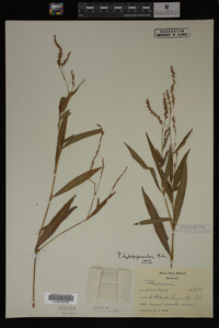 Image Associated With the Occurrence