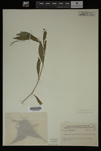 Image Associated With the Occurrence