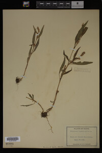 Image Associated With the Occurrence