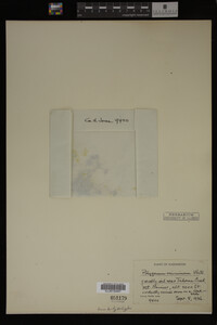 Image Associated With the Occurrence