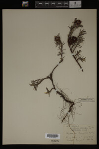 Image Associated With the Occurrence