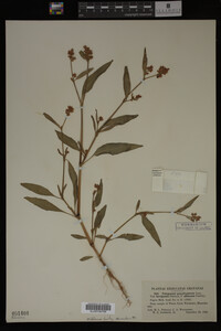 Image Associated With the Occurrence