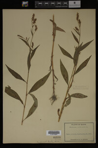 Image Associated With the Occurrence