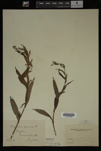 Image Associated With the Occurrence