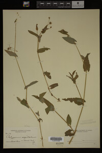 Image Associated With the Occurrence