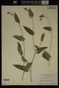 Image Associated With the Occurrence