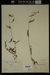 Image Associated With the Occurrence