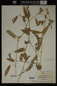 Image Associated With the Occurrence