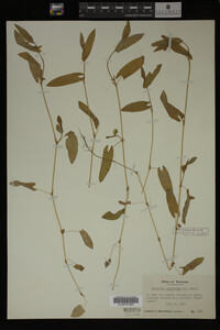 Image Associated With the Occurrence