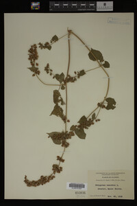 Image Associated With the Occurrence