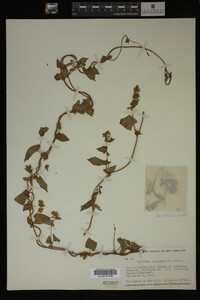 Image Associated With the Occurrence