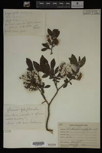 Image Associated With the Occurrence