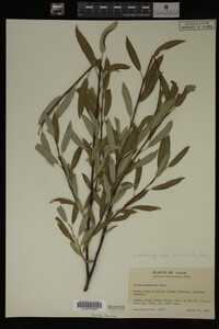 Image Associated With the Occurrence