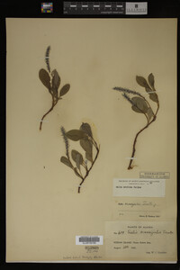 Image Associated With the Occurrence