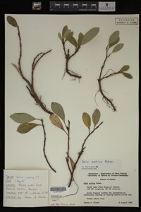 Image Associated With the Occurrence