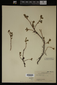 Image Associated With the Occurrence