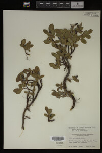 Image Associated With the Occurrence