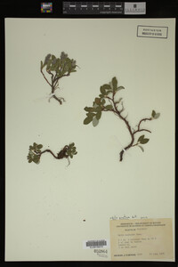 Image Associated With the Occurrence