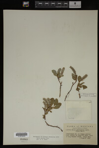 Image Associated With the Occurrence