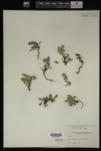 Image Associated With the Occurrence