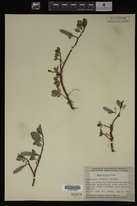 Image Associated With the Occurrence