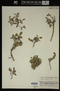Image Associated With the Occurrence