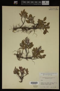Image Associated With the Occurrence