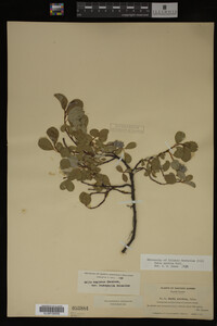 Image Associated With the Occurrence