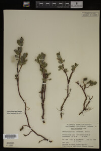 Image Associated With the Occurrence