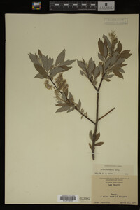 Image Associated With the Occurrence