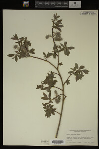 Image Associated With the Occurrence
