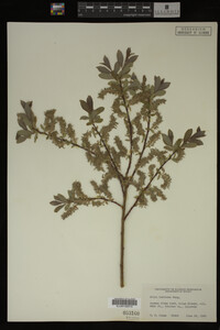 Image Associated With the Occurrence
