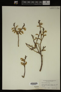 Image Associated With the Occurrence