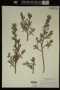 Image Associated With the Occurrence