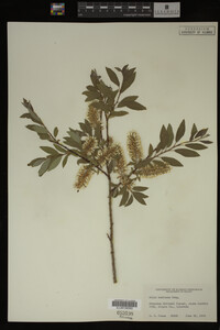 Image Associated With the Occurrence